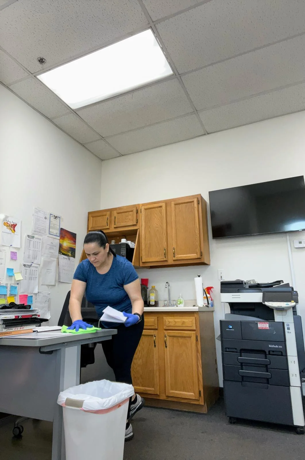 Professional cleaning services